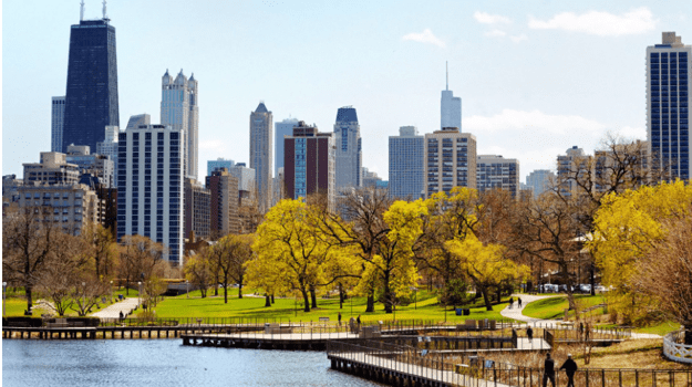 downtown chicago skyline