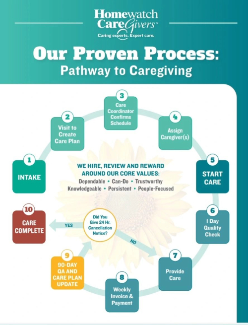 homewatch caregivers pathway to caregiving infographic