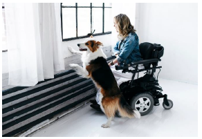 woman in a wheel chair and dog