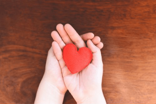 person holding heart