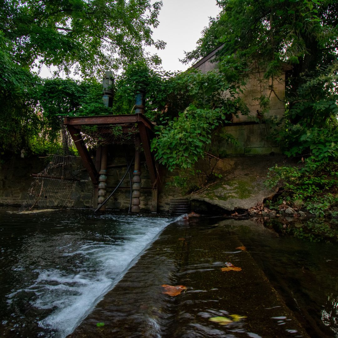 Elkins Park Dam