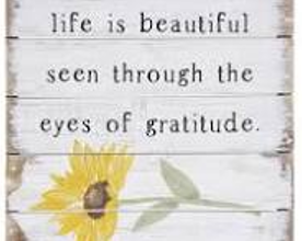 life is beautiful seen through the eyes of gratitude