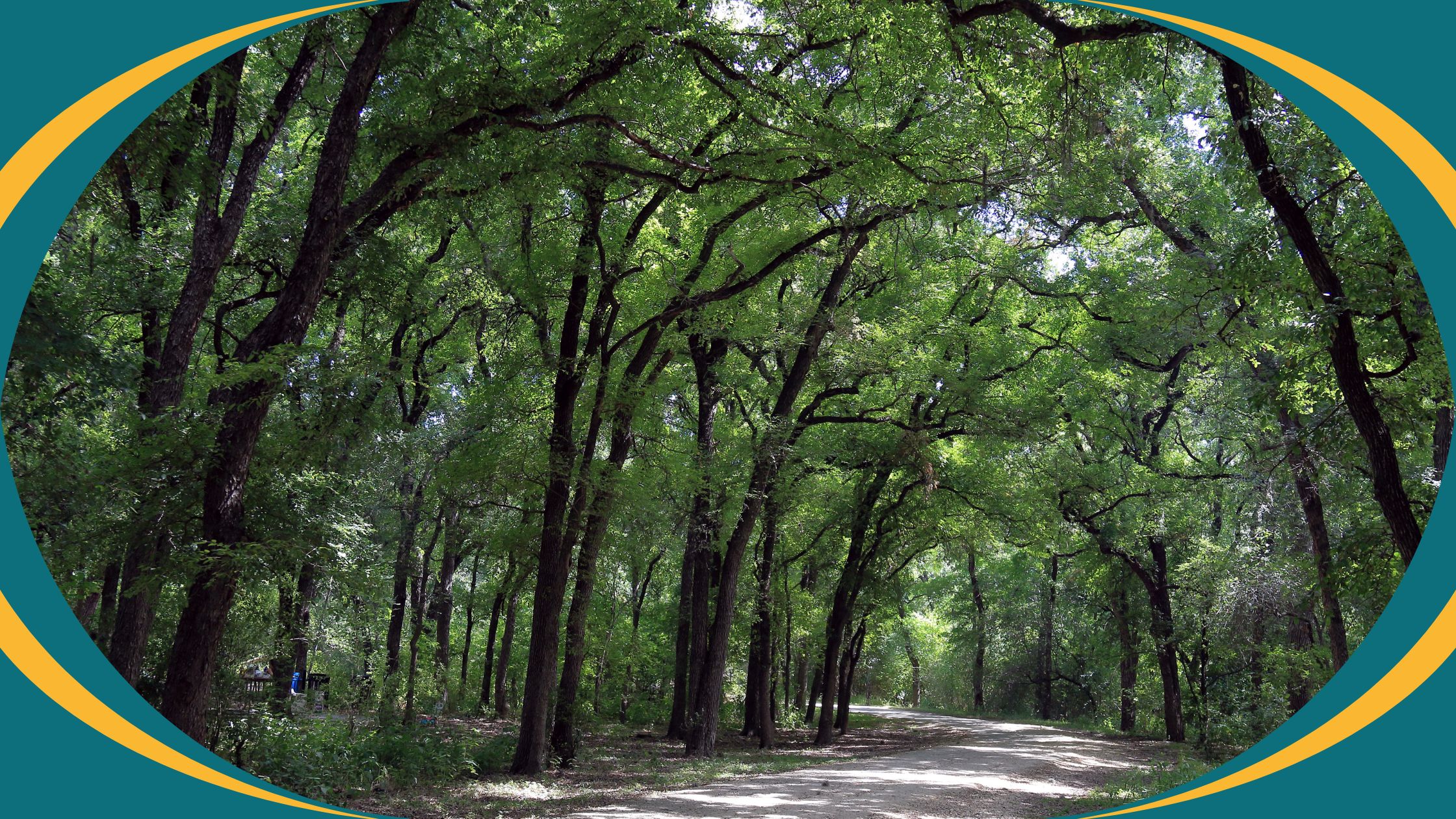 Mayfield-Park-and-Nature-Preserve